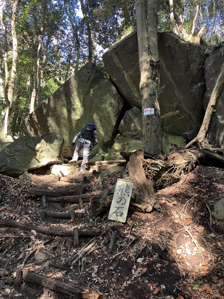 熊の手を通って